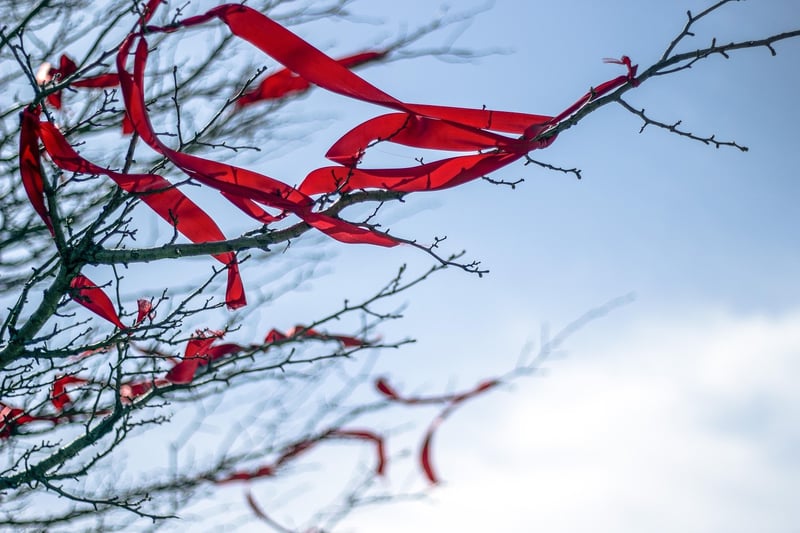 Wishing Tree